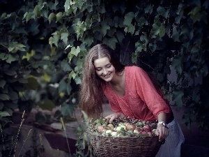 apples, basket, Women, harvest, orchard