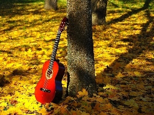 autumn, Leaf, Guitar, forest