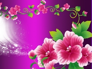 background, purple, Pink, graphics, Flowers