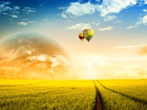 Balloons, field, west, sun