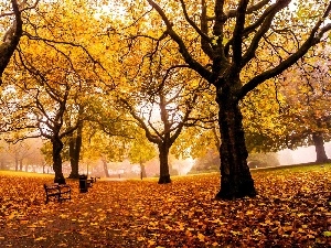 bench, viewes, Leaf, Park, autumn, trees