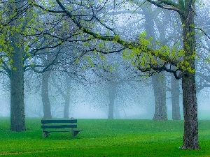 Bench, viewes, Park, Fog, trees