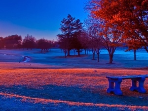 viewes, Bench, trees, winter, Great Sunsets, Park