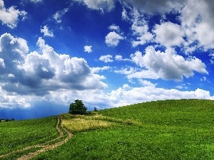 clouds, blue, viewes, Way, Sky, Field, trees