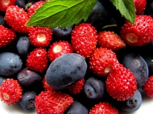 blueberries, mint, Fruits, Strawberries