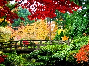 Park, bridges, autumn
