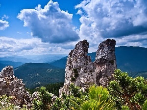 clouds, woods, rocks, Mountains
