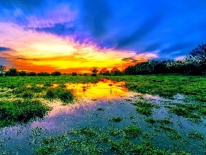 trees, clouds, Great Sunsets, Meadow, viewes, swamp
