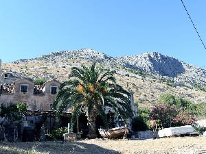 Coartia, Palm, Mountains, house