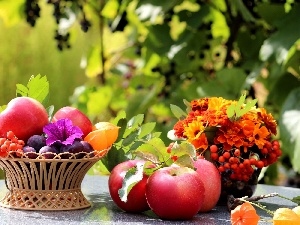 compositions, Plant, Flowers, apples, basket, plums