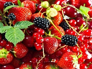 currants, blackberries, Fruits, strawberries