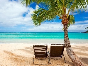deck chair, Palm, sea, Beaches