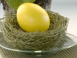 nest, Easter, egg