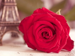 Eiffla, tower, red hot, rose