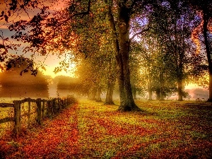 Fance, trees, viewes, autumn, Fog, Leaf
