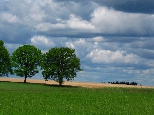 Field, Spring, trees, clouds, viewes