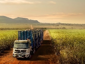 Field, Way, lorry, Volvo cars
