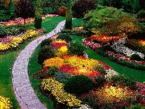 color, Flowers, Garden