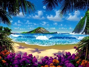Flowers, rocks, sea, Palms, Beaches