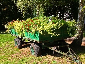 Trailer, Flowers, Old