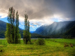 Fog, River, Mountains, clouds, woods