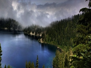 lake, Fog, forest