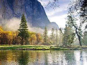 Fog, River, Mountains, morning, forest