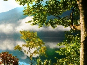 Fog, lake, Mountains, woods