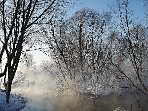 Fog, River, trees, winter, viewes