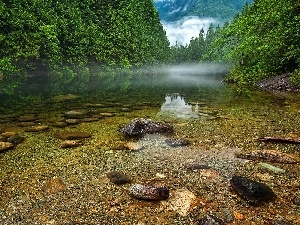 forest, Fog, lake, Canada, Stones