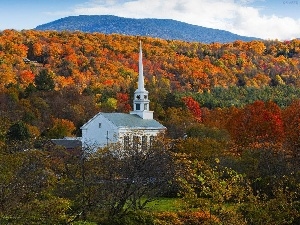 church, forest, autumn