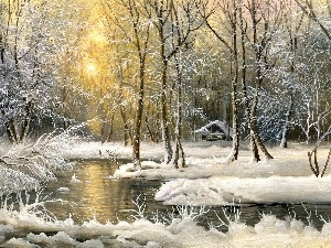 winter, forest, picture
