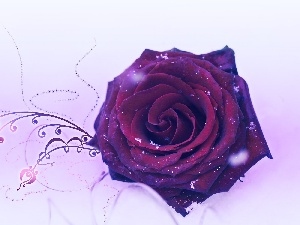 rose, graphics, dusted