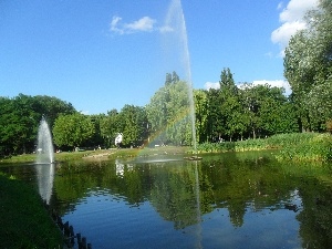green, fountain, Park, Pond - car