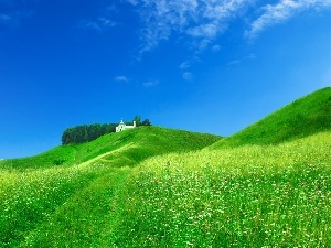 Home, Field, White, Green, Hill, grass