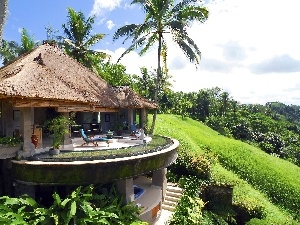 Hotel hall, Bali, indonesia, Palms, Island