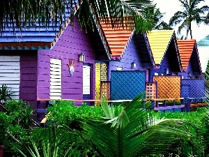 color, Houses, Maldives