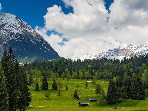 huts, Meadow, Mountains, forest
