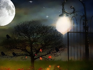 Leaf, trees, picture, moon, Gate