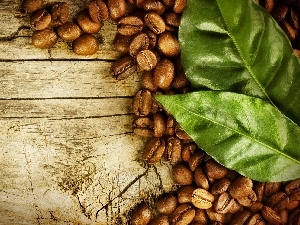 coffee, leaves, grains