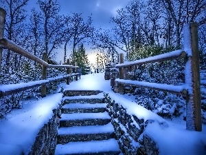 Lighthouse, Stairs, winter, Park
