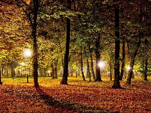 Park, lighting, Autumn