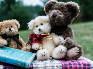 Meadow, Book, Stuffed Animals, Park, Bears
