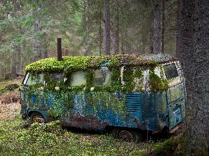 Moss, forest, rusty, Automobile