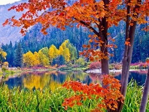 Mountains, lake, autumn, Park