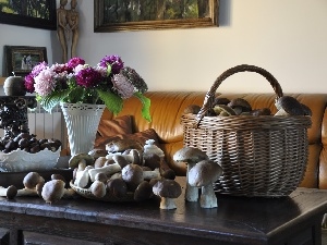 mushrooms, Bouquet of Flowers, basket