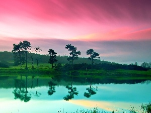 Pink, trees, viewes, lake, Sky, reflection