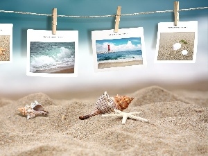 postcards, Sand, Beaches, Shells