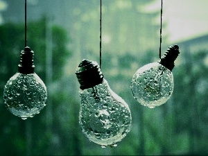 Bulbs, Rain, hanging