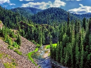 woods, River, Mountains